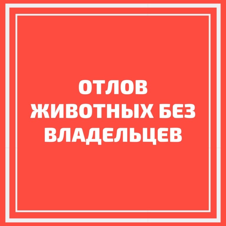 ПАМЯТКА о действиях в случае обнаружения животного без владельца.