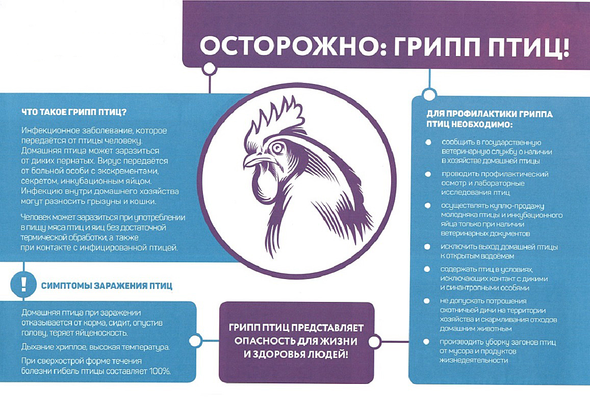 Уважаемые жители ЗАТО Первомайский! В связи с распространением высокопатогенного гриппа птиц.