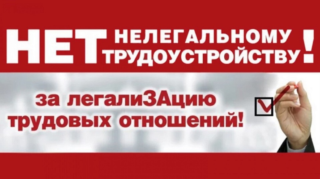 Неформальная занятость и легализация трудовых отношений..