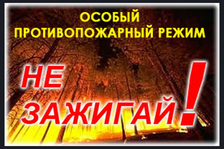 В лесах Кировской области установлен особый противопожарный режим.. В лесах Кировской области установлен особый противопожарный режим..