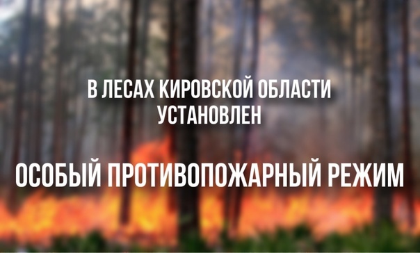 В лесах Кировской области установлен особый противопожарный режим. В лесах Кировской области установлен особый противопожарный режим.