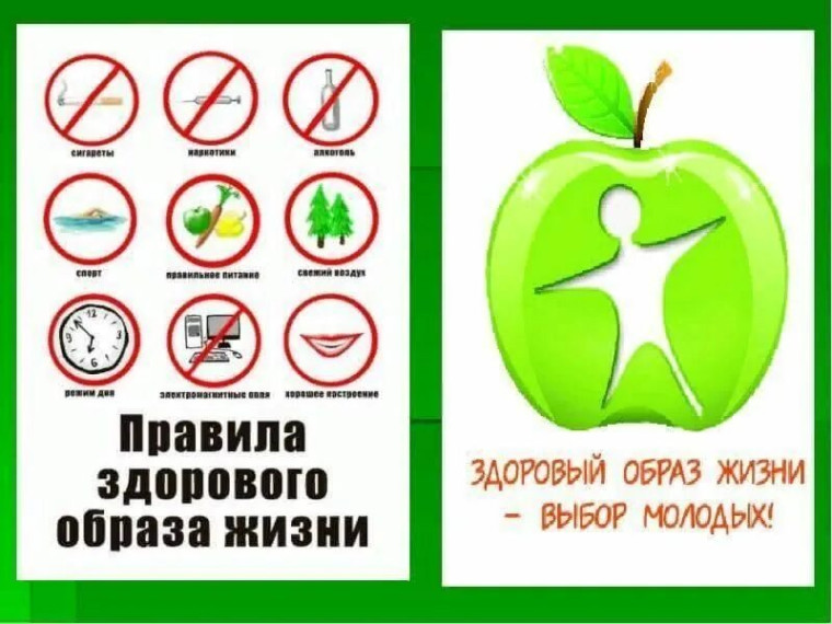 Правила здорового образа жизни. Правила здорового образа жизни.