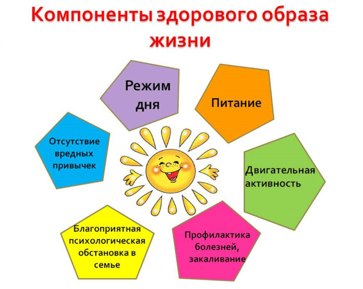 Компоненты здорового образа жизни. Компоненты здорового образа жизни.